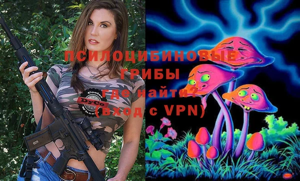 2c-b Алзамай