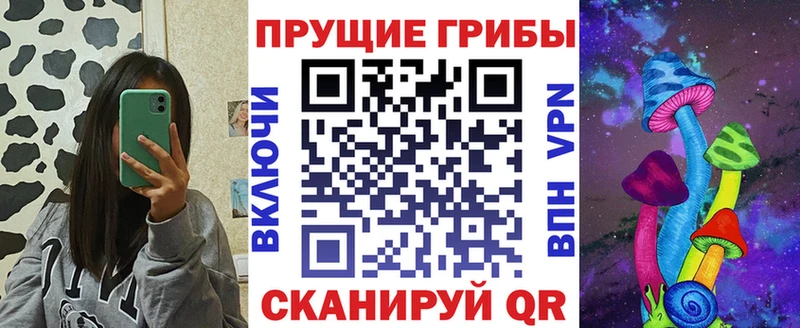 купить наркоту  Анжеро-Судженск  Галлюциногенные грибы Magic Shrooms 